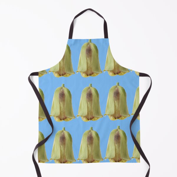 Item preview, Fritillaria acmopetala AGM Pointed-petal fritillary designed and sold by Chris Burrows.