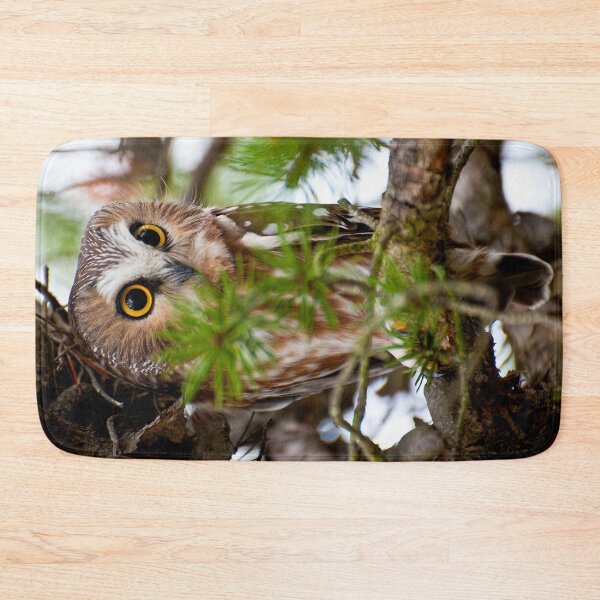 Item preview, Northern Saw-whet Owl designed and sold by Owl-Images.