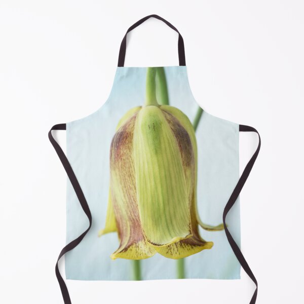 Item preview, Fritillaria acmopetala AGM Pointed-petal fritillary designed and sold by Chris Burrows.
