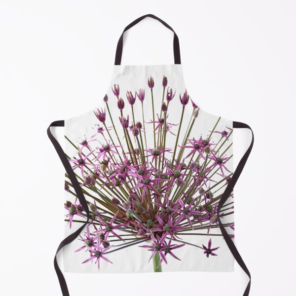 Item preview, Allium 'Spider' Ornamental onion designed and sold by Chris Burrows.