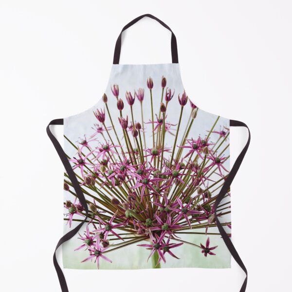 Item preview, Allium 'Spider' Ornamental onion designed and sold by Chris Burrows.