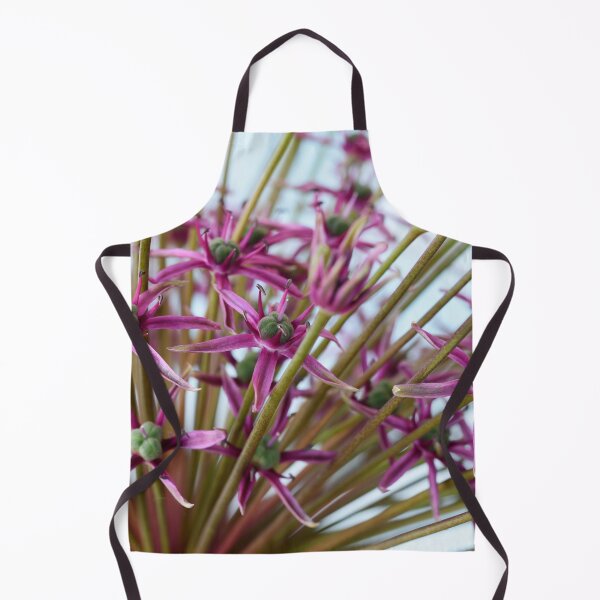 Item preview, Allium 'Spider' Ornamental onion designed and sold by Chris Burrows.