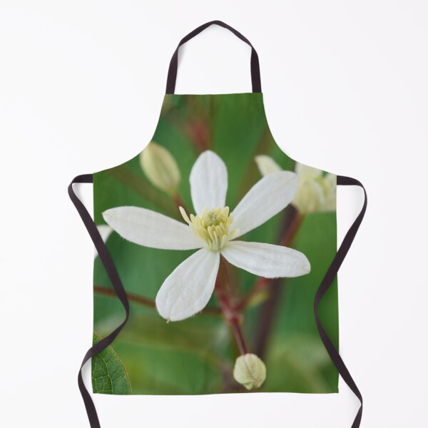 Item preview, Clematis terniflora var. mandshurica Manchurian clematis designed and sold by Chris Burrows.