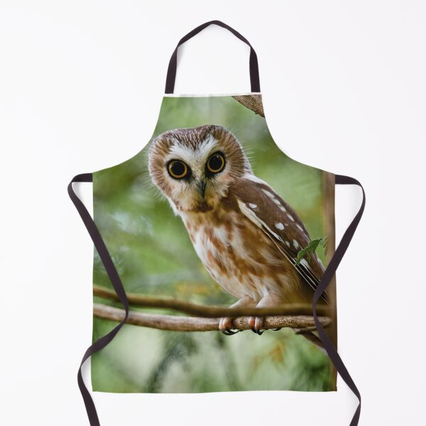 Item preview, Northern Saw-whet Owl designed and sold by Owl-Images.