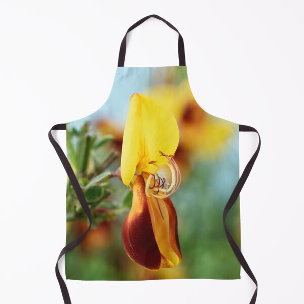 Item preview, Cytisus scoparius f. andreanus Broom designed and sold by Chris Burrows.