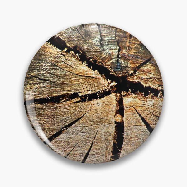 Item preview, Cross-section Old Pine Tree Trunk Organic Wood Texture designed and sold by worldways.