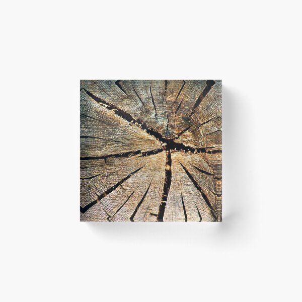Item preview, Cross-section Old Pine Tree Trunk Organic Wood Texture designed and sold by worldways.