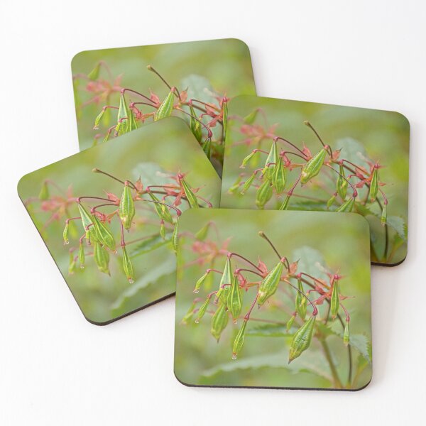 Item preview, Fruits of a Himalayan Balsam designed and sold by xophotography.