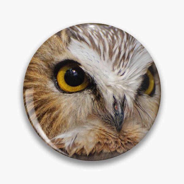 Item preview, Northern Saw-whet Owl designed and sold by Owl-Images.