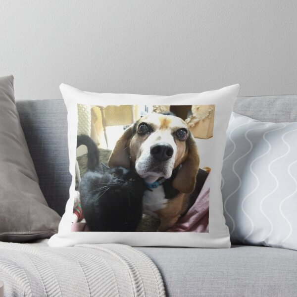Item preview, LOVE BETWEEN A DOG AND A CAT designed and sold by Suziemarie.