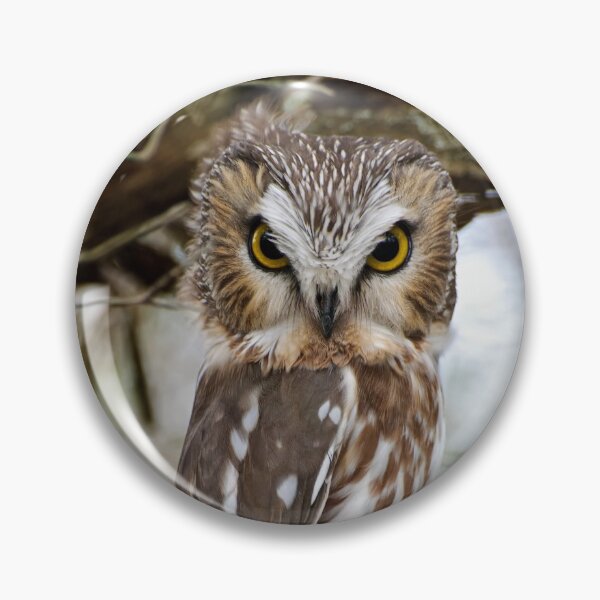 Item preview, Northern Saw-whet Owl designed and sold by Owl-Images.