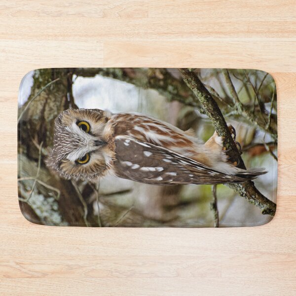 Item preview, Northern Saw-whet Owl designed and sold by Owl-Images.