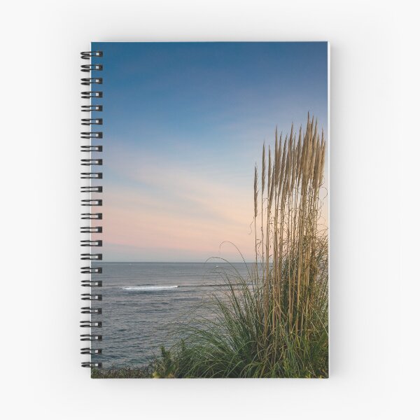 Item preview, Beachgrass Sunset designed and sold by DiFigianoPhoto.