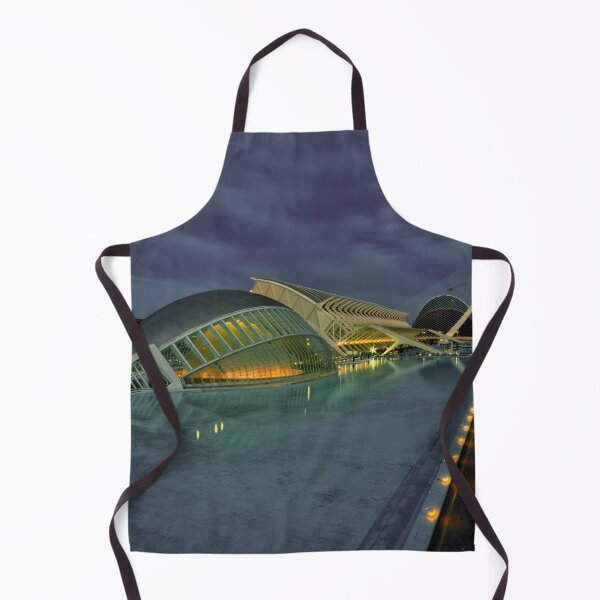 Item preview, Valencia Science City Dusk designed and sold by hawkie.