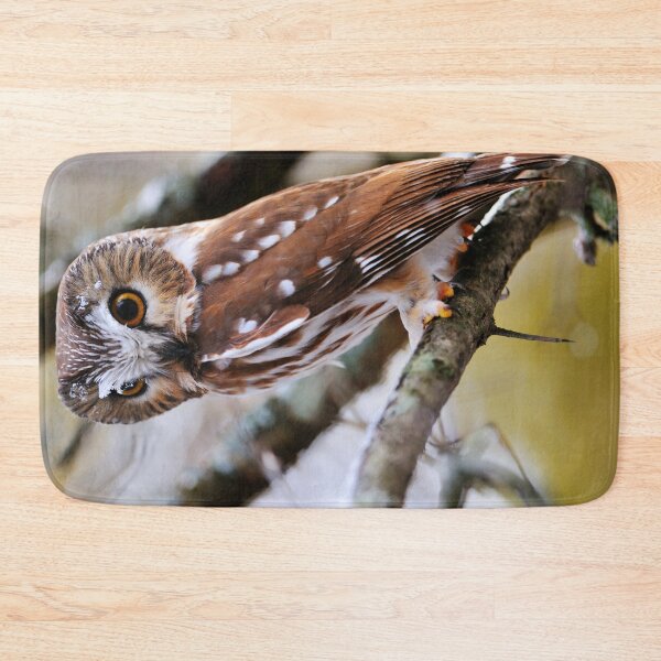 Item preview, Northern Saw-whet Owl designed and sold by Owl-Images.