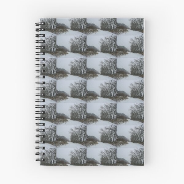Item preview, Burnt Bridge Creek Trail in Snow designed and sold by Deborah Singer.