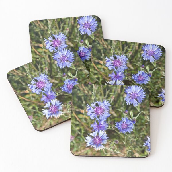 Item preview, Cornflowers designed and sold by tomg.