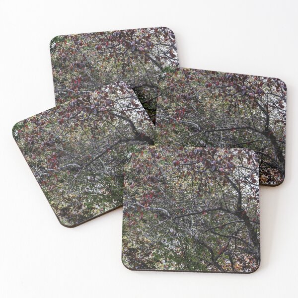 Item preview, Early Sparkles  designed and sold by SRosuphotos.