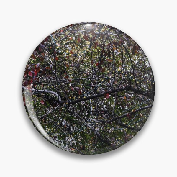 Item preview, Early Sparkles  designed and sold by SRosuphotos.