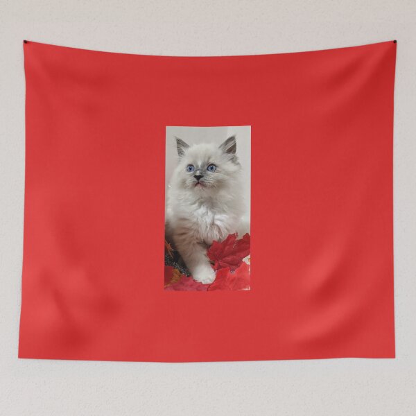 Aperçu de l'œuvre Chaton Ragdoll créée et vendue par Fluffycat2020.
