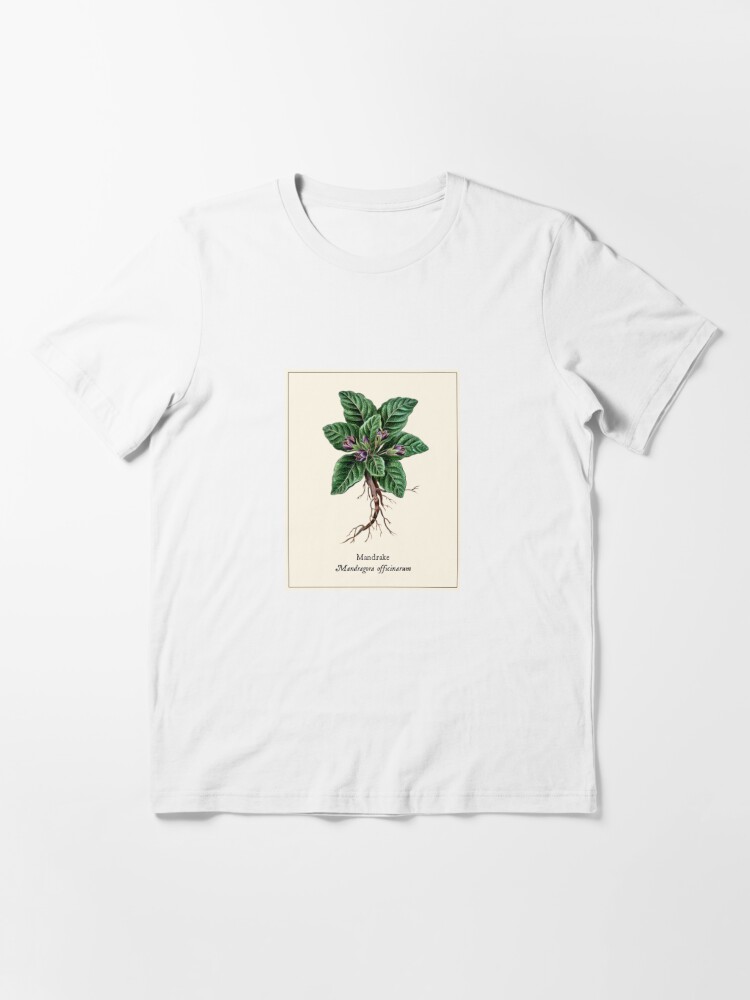 Botany Oversized TShirt Mandrake Herbal Tee Boho Witchy 