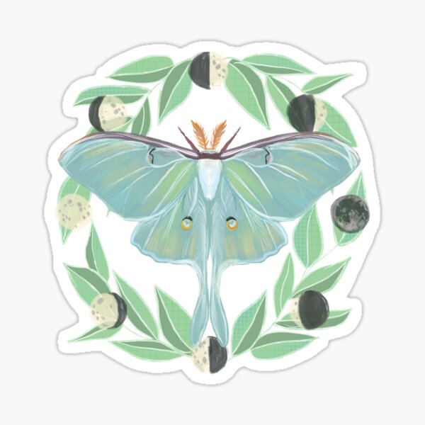 Luna Moth with Moon Phases Sticker