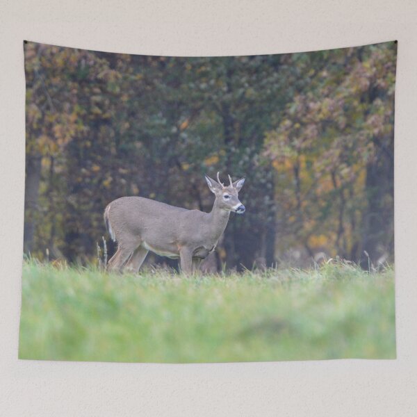 Item preview, White Tailed Deer designed and sold by Drgnfly4free.