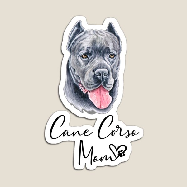 Meraki Cane Corso