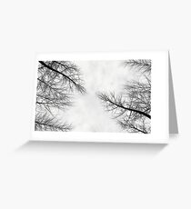 Branches Greeting Card