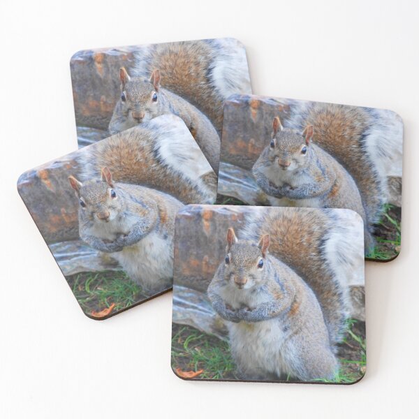 Item preview, Unique Squirrel Colors C2022 Steve Yellowbear designed and sold by SteveYellowbear.