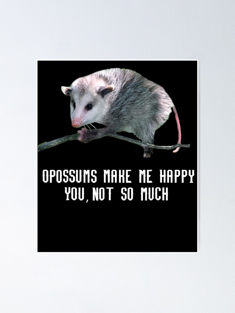 Opossums Make Me Happy T Shirt Opossum Funny Tee