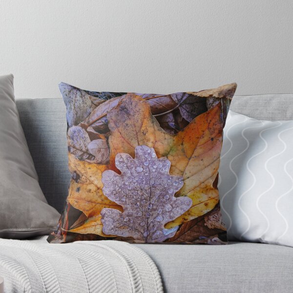 Aperçu de l'œuvre Feuille d'automne, chute créée et vendue par MameDesign.
