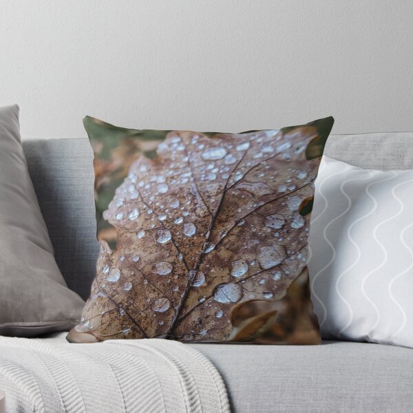 Aperçu de l'œuvre Feuille d'automne avec des gouttes d'eau créée et vendue par MameDesign.