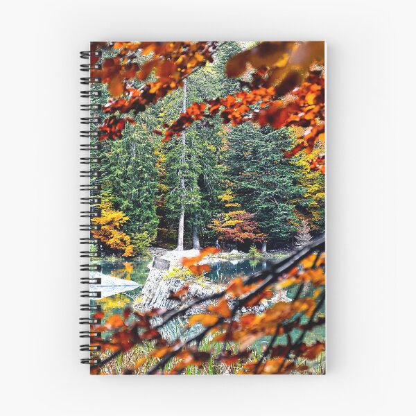 Item preview, Paisaje de otoño 2 designed and sold by Denis Charmot.