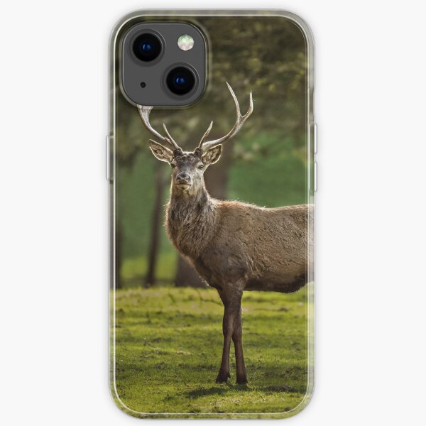 Young stag iPhone Soft Case