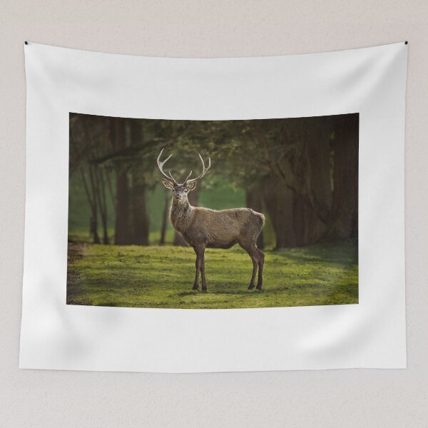 Item preview, Young stag designed and sold by Helen Walker.