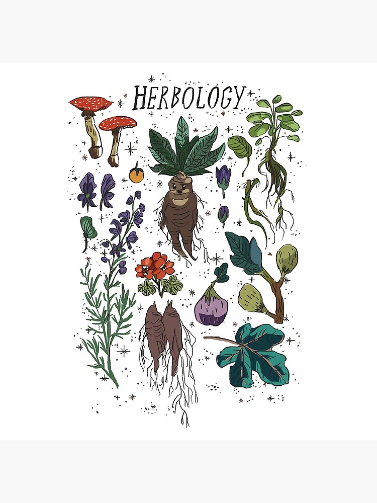 "Herbology" Poster for Sale by drawmyjournal Redbubble