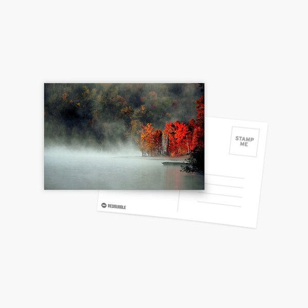 Fog and Fire Postcard