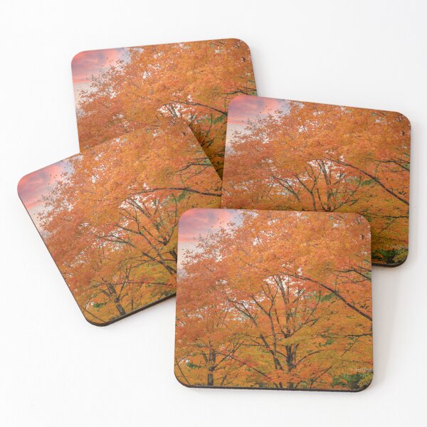 Fall Scene in Renton, WA 001 Coasters (Set of 4)