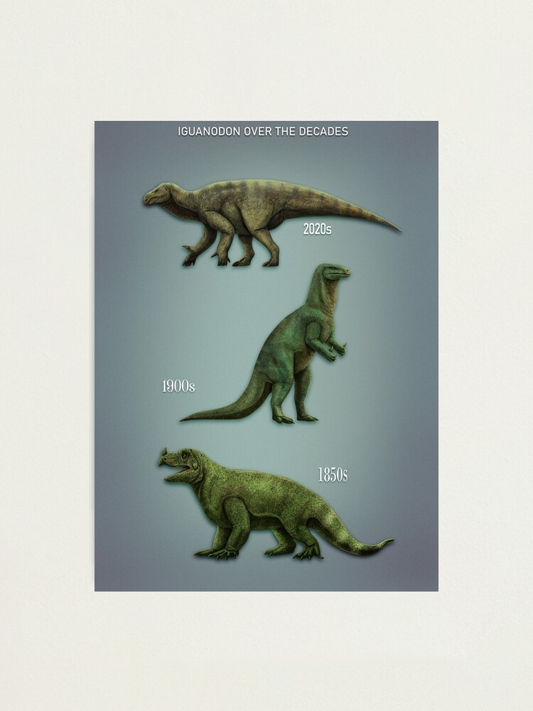 Impression photo for Sale avec l'œuvre « IGUANODON au fil des ans. paleoart  vintage vs actuel » de l'artiste Mario Lanzas