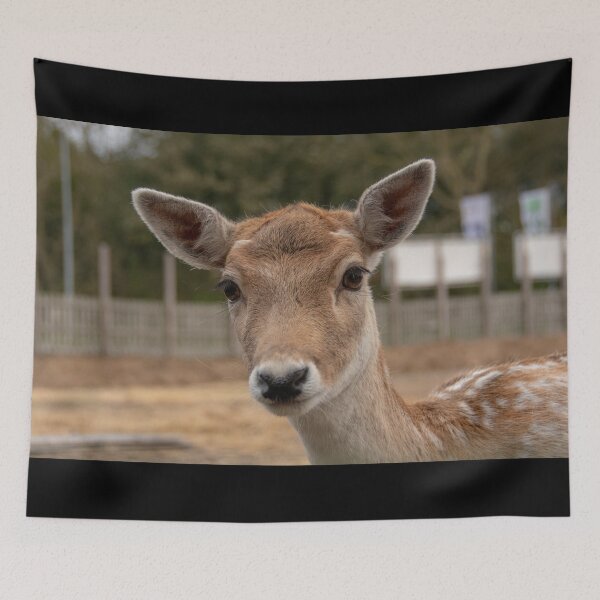 Item preview, Deer designed and sold by koalas1414.