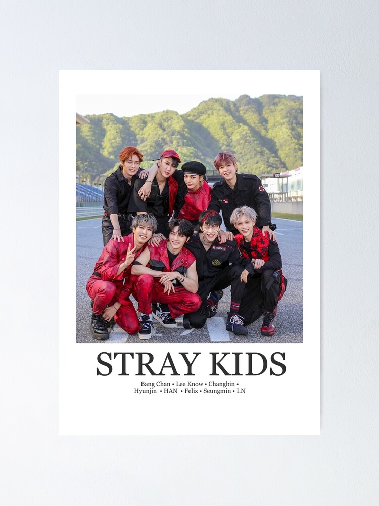 Stray kids poster