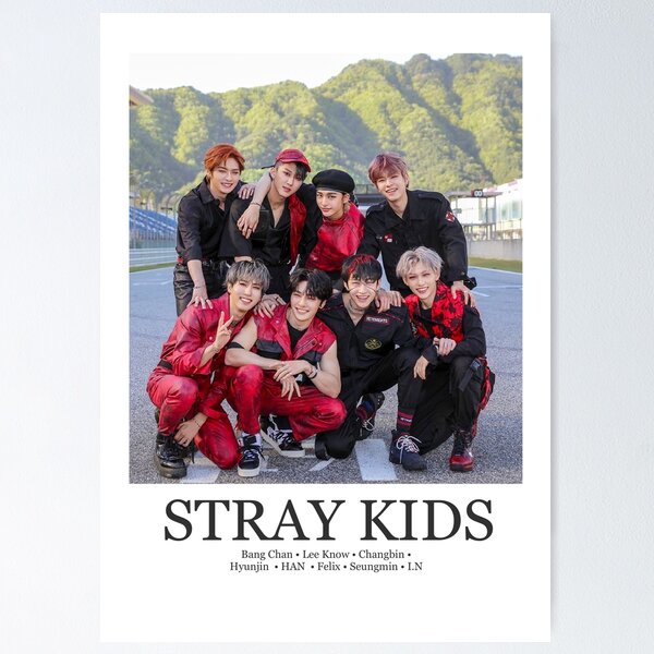 Stray kids poster
