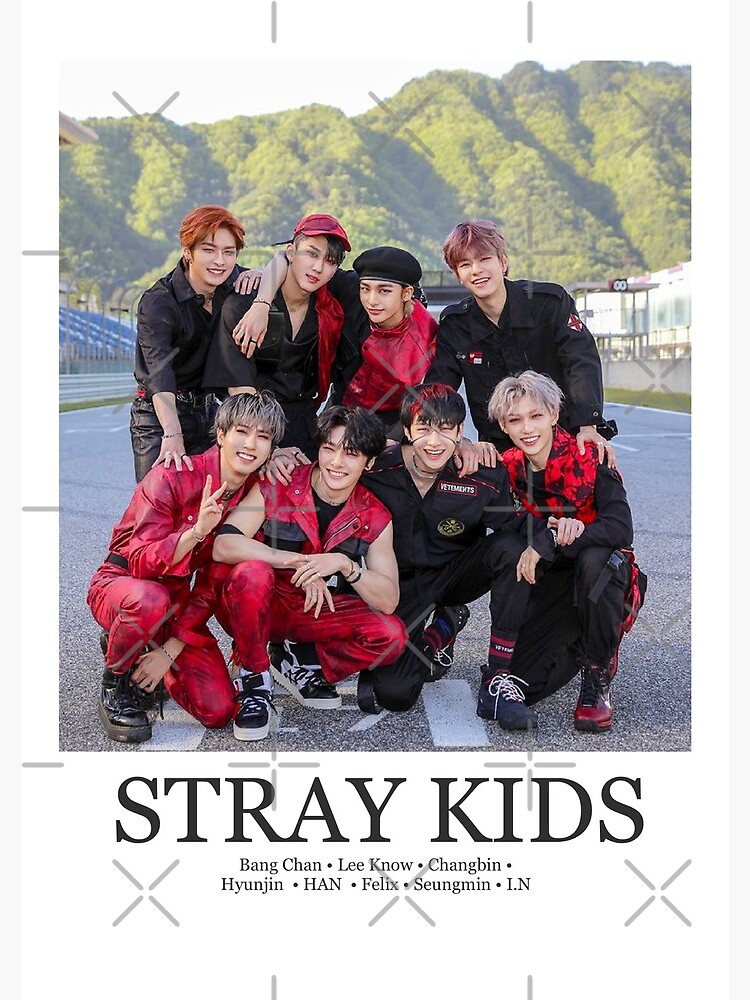 Stray kids poster