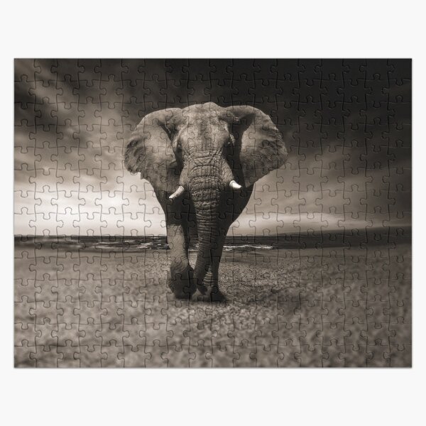 Artikel-Vorschau von Elefant, designt und verkauft von OrionPhotograph.