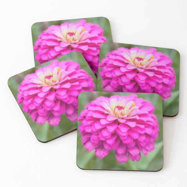Item preview, Zinnia Variation 2 designed and sold by AliCatOriginals.