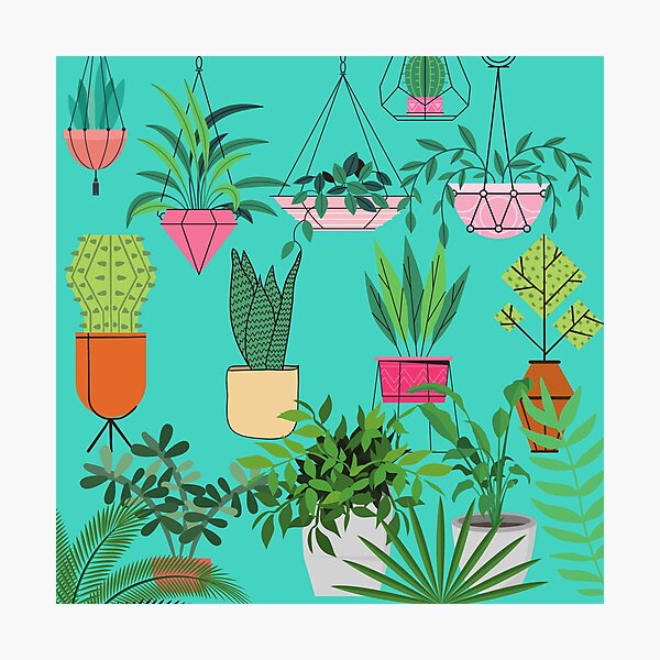 Item preview, Plants & Hanging Plants designed and sold by JazzPWall.