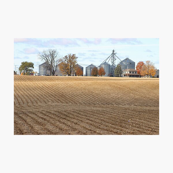 Item preview, Farmland designed and sold by Milli Co Studio.