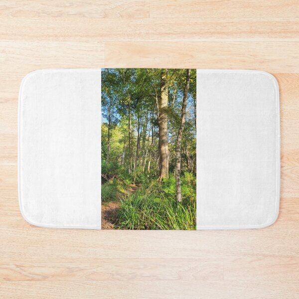 Item preview, Inverkip Forrest Inverclyde Scotland  designed and sold by Scottish Photography .