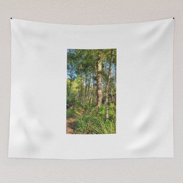 Item preview, Inverkip Forrest Inverclyde Scotland  designed and sold by Scottish Photography .